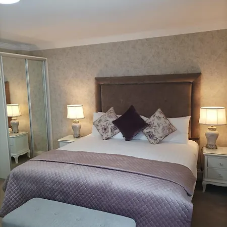 Kingfisher Killarney