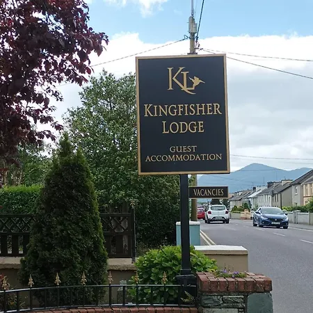 Kingfisher קיל איירן