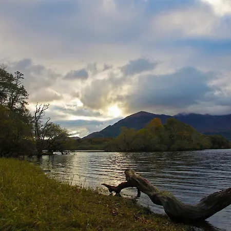 Kingfisher Killarney