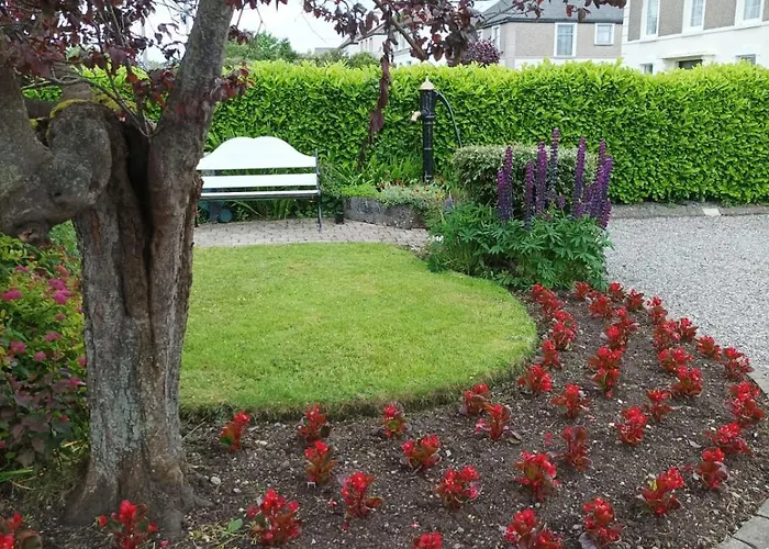 Kingfisher Alojamento de Turismo Selvagem Killarney