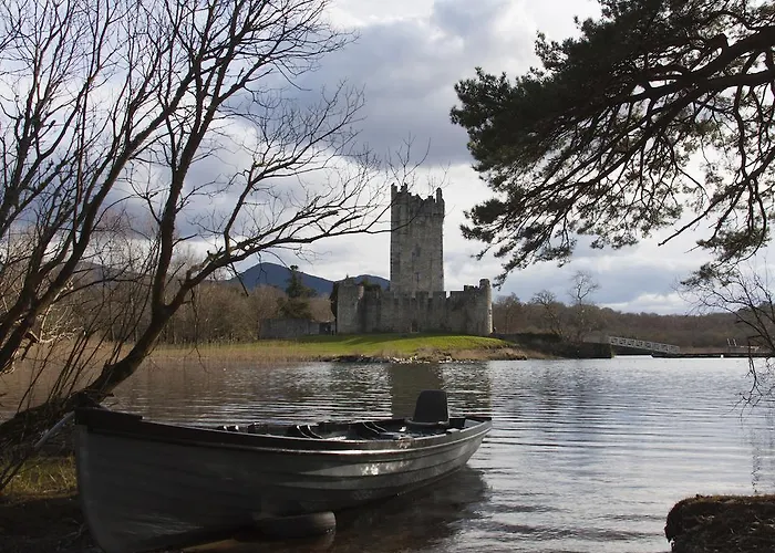 Alojamento de Turismo Selvagem Kingfisher Killarney