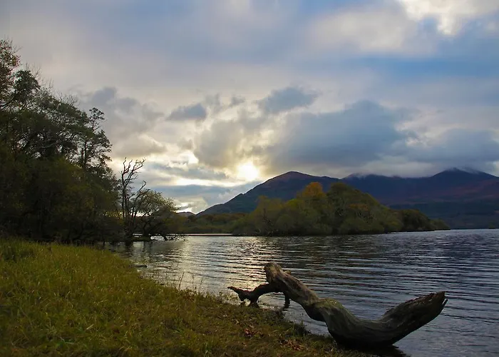 Kingfisher Killarney