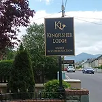 Kingfisher Cill Airne