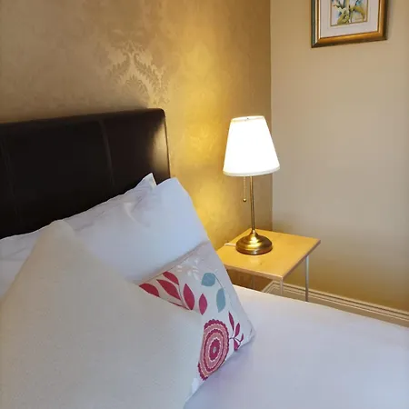 翠鸟旅馆 基拉尼