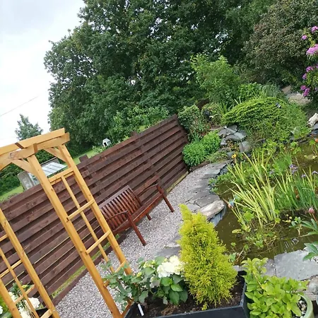 翠鸟旅馆 * 基拉尼