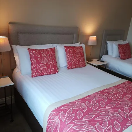 山林小屋 翠鸟旅馆 *