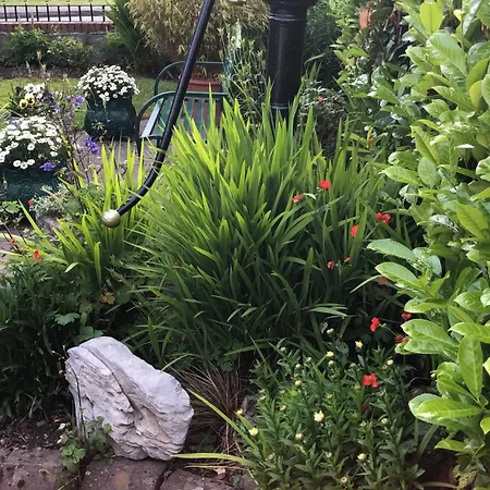 翠鸟旅馆 山林小屋