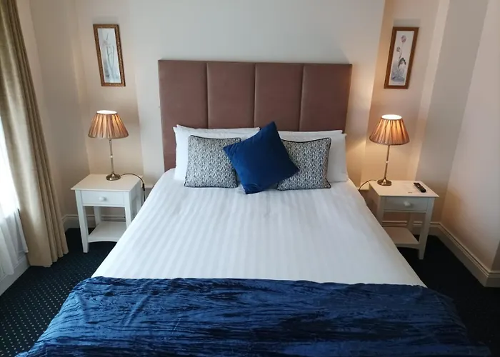 Kingfisher Killarney