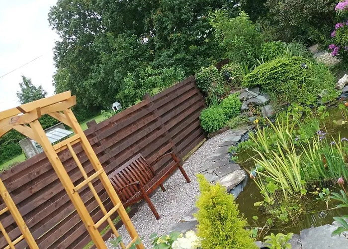 Kingfisher * Killarney